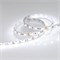 Лента RT 2-5000 12V White5500 2x (5060, 300 LED, LUX) (Arlight, 14.4 Вт/м, IP20) 026778(B)