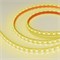 Лента герметичная RTW-PFS-B60-13mm 12V Yellow (14.4 W/m, IP68, 5060, 5m) (Arlight, 14.4 Вт/м, IP68) 036291 - фото 100551