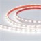 Лента RTW 2-5000PS 12V White6000 (3528, 300 LED, LUX) (Arlight, 4.8 Вт/м, IP67) 021099 - фото 100609