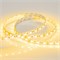 Лента RT 2-5000 12V Yellow 2x (5060, 300 LED, LUX) (Arlight, 14.4 Вт/м, IP20) 012342 - фото 100650