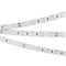 Лента RT 2-5000 24V Red 2x (5060, 300 LED, LUX) (Arlight, 14.4 Вт/м, IP20) 008817 - фото 100676