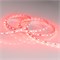 Лента RT 2-5000 24V Red 2x (5060, 300 LED, LUX) (Arlight, 14.4 Вт/м, IP20) 008817 - фото 100678