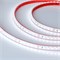 Лента RTW 2-5000PS-50m 24V White6000 2x (3528, 120 LED/m, LUX) (Arlight, 9.6 Вт/м, IP67) 024574 - фото 100693