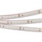 Лента RTW 2-5000PS-50m 24V White6000 2x (3528, 120 LED/m, LUX) (Arlight, 9.6 Вт/м, IP67) 024574 - фото 100698