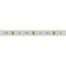 Лента RTW 2-5000P 12V White6000 2x (5060, 300 LED, LUX) (Arlight, 14.4 Вт/м, IP66) 012388 - фото 100779