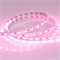 Лента RT 2-5000 24V Pink 2x (5060, 300 LED, LUX) (Arlight, 14.4 Вт/м, IP20) 015969-1 - фото 100826