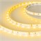 Лента RT-A60-8mm 12V Yellow (4.8 W/m, IP20, 2835, 5m) (Arlight, Открытый) 010521(2) - фото 100873