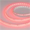 Лента RT-A120-8mm 24V Red (9.6 W/m, IP20, 2835, 5m) (Arlight, 9.6 Вт/м, IP20) 008781(2) - фото 100875