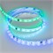 Лента герметичная DMX-SE-B60-10mm 24V RGB-PX6 (14 W/m, IP65, 5060, 5m) (Arlight, -) 039607 - фото 100883