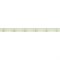 Лента COB-5000PS-CSP-544-24V Green (10mm, 11.5W, IP67) (Arlight, -) 032181 - фото 100975
