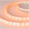 Лента RT-A60-8mm 12V Orange (4.8 W/m, IP20, 2835, 5m) (Arlight, -) 013568(2) - фото 101316