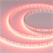 Лента RT-A120-8mm 24V Scarlet (9.6 W/m, IP20, 2835, 5m) (Arlight, -) 043383 - фото 101592