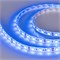 Лента RTW 2-5000SE 12V Blue 2x (5060, 300 LED, LUX) (Arlight, 14.4 Вт/м, IP65) 014882-1 - фото 101946