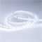 Лента IC 2-30000 24V Cool 8K 10mm (2835, 60 LED/m, LUX) (Arlight, 4.6 Вт/м, IP20) 027029 - фото 102077