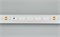 Лента RT 2-5000 24V Warm2700 (3528, 300 LED, CRI98) (Arlight, 4.8 Вт/м, IP20) 021414(1) - фото 102083