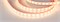 Лента герметичная RTW-PFS-B60-13mm 12V Warm3000 (14.4 W/m, IP68, 5060, 5m) (Arlight, -) 034033