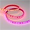 Лента SPI-5000PGS-5060-60 12V Cx3 RGB-Auto (12mm, 13.2W/m, IP67) (Arlight, Закрытый, IP67) 029445 - фото 102301