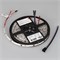 Лента герметичная SPI-SE-B60-10mm 12V RGB-PX3-BPT (12 W/m, IP65, 5060, 5m) (Arlight, бегущий огонь) 039597 - фото 102389