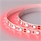 Лента RT 2-5000 12V Red 2x (5060, 300 LED, LUX) (Arlight, 14.4 Вт/м, IP20) 012343(1) - фото 102413