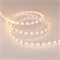 Лента RS 2-5000 12V Warm2700 (3014, 60 LED/m, LUX) (Arlight, 4.8 Вт/м, IP20) 024448 - фото 102420
