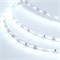 Лента RT 2-5000 12V Cool 10K (2835, 300 LED, BAT) (Arlight, 7.2 Вт/м, IP20) 023312 - фото 103203