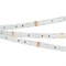 Лента герметичная RTW-SE-B30-10mm 12V RGB (7.2 W/m, IP65, 5060, 5m) (Arlight, -) 014619(2) - фото 103611