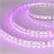 Лента RT-B84-10mm 24V RGB (21 W/m, IP20, 5060, 5m) (Arlight, Открытый) 021475(2) - фото 104303