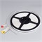 Лента герметичная MOONLIGHT-TOP-X544-10x5mm 24V Warm2700 (10 W/m, IP65, 5m, wire x1)  (Arlight, Вывод прямой, 3 года) 041527 - фото 105405
