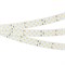 Лента RT-A252-19mm 24V White6000 (27 W/m, IP20, 2835, 5m) (Arlight, 27 Вт/м, IP20) 019925(2) - фото 105639