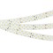 Лента RT-A252-19mm 24V White6000 (27 W/m, IP20, 2835, 5m) (Arlight, 27 Вт/м, IP20) 019925(2) - фото 105641