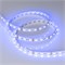 Лента RT-B60-10mm 12V RGB (14.4 W/m, IP20, 5060, 5m) (Arlight, Открытый) 012340(2) - фото 105818