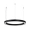 Светильник SP-CIRCLE-HANG-O3535-D500-30W Day4000 (RAL9005, 120 deg, 230V) IP40 LED (Arlight, Алюминий) 049359 - фото 105894