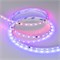 Лента SPI-B60-10mm 24V RGB-PX6-BPT (12 W/m, IP20, 5060, 5m) (Arlight, бегущий огонь) 039180 - фото 106107