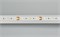 Лента MICROLED-5000 24V White-CDW 8mm (2216, 240 LED/m, Bipolar) (Arlight, 9.6 Вт/м, IP20) 024507 - фото 109730