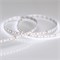 Лента MICROLED-5000 24V White-CDW 8mm (2216, 240 LED/m, Bipolar) (Arlight, 9.6 Вт/м, IP20) 024507 - фото 109731