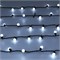 Светодиодная гирлянда ARD-BALL-CLASSIC-D17.5-10000-BLACK-100LED WHITE (230V, 7W) (Ardecoled, IP65) 025583 - фото 110323