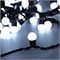 Светодиодная гирлянда ARD-BALL-CLASSIC-D17.5-10000-BLACK-100LED WHITE (230V, 7W) (Ardecoled, IP65) 025583 - фото 110326