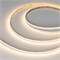 Лента MICROLED-M320-8mm 24V Warm3000 (8 W/m, IP20, 2216, 5m) (Arlight, 130 лм/Вт) 047865 - фото 110911