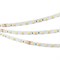 Лента RT 6-5000 24V White-MIX 2x (5060, 60 LED/m, LUX) (Arlight, Изменяемая ЦТ) 025213 - фото 110983