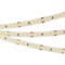 Лента RT 2-5000 24V White6000 3x (2835, 840 LED, LUX) (Arlight, 17 Вт/м, IP20) 019093(B) - фото 111779