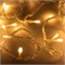 Светодиодная гирлянда ARD-STRING-HOME-5000-CLEAR-50LED-FLASH WARM (230V, 3.5W) (Ardecoled, IP20) 025750 - фото 112131