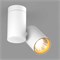 Светильник SP-POLO-SURFACE-TURN-R85-15W White5000 (WH-GD, 40 deg) (Arlight, IP20 Металл, 3 года) 027577 - фото 116198