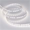 Лента RT 2-5000 24V Day4000 1.6x (2835, 490 LED, CRI98) (Arlight, 10 Вт/м, IP20) 021452 - фото 117365