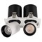 Светильник LGD-PULL-S100x200-2x10W White6000 (WH, 20 deg) (Arlight, IP20 Металл, 3 года) 026193 - фото 117706