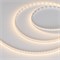 Лента MICROLED-M420-8mm 24V Warm3000 (9.6 W/m, IP20, 2216, 5m) (Arlight, -) 046744 - фото 117908