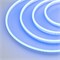 Образец Гибкий неон GALAXY-1206-5000CFS-2835-100 12V Blue 0.5M (12x6mm, 12W, IP67) (Arlight, 12 Вт/м, IP67) 030964 - фото 118283