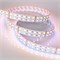 Лента RT 2-5000 24V RGB-Warm 2x2 (5060, 720 LED, LUX) (Arlight, 32 Вт/м, IP20) 012327(1) - фото 118994