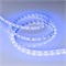 Лента RT-B60-10mm 24V Blue (14.4 W/m, IP20, 5m) (Arlight, Открытый) 008819(3) - фото 119330