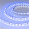 Лента RT-B60-10mm 24V Blue (14.4 W/m, IP20, 5m) (Arlight, Открытый) 008819(3) - фото 119332