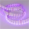 Лента RT-B144-19mm 24V RGBW-White (32 W/m, IP20, 5060, 5m) (Arlight, 32 Вт/м, IP20) 011823(2) - фото 120110